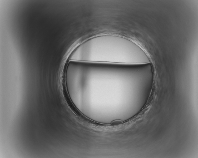 X0000115780007200911131015