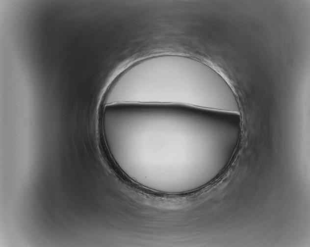 X0000115780008200911131015