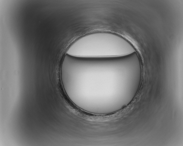 X0000115780009200911131015