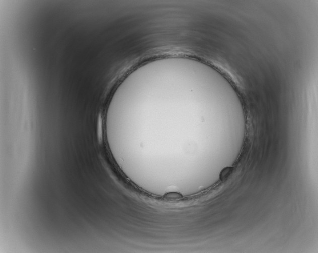 X0000115780014200911131015