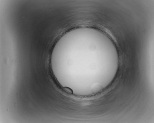 X0000115780018200911131015
