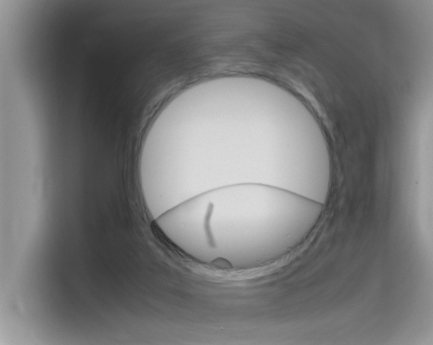 X0000115780019200911131015