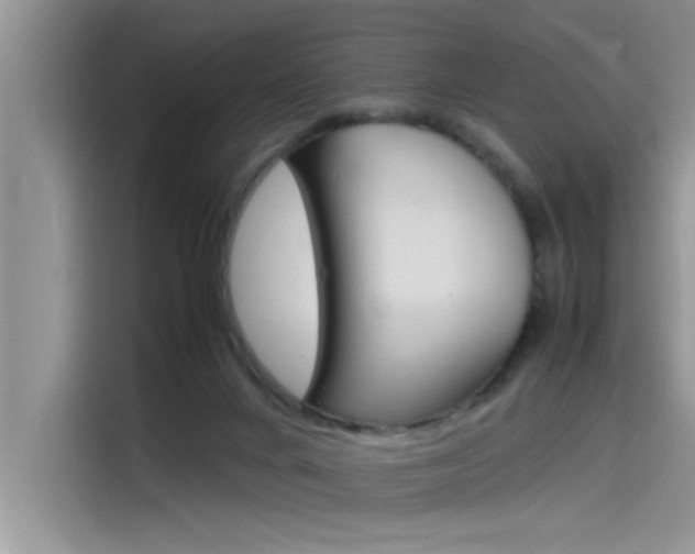 X0000115780024200911131015