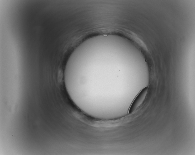 X0000115780025200911131015