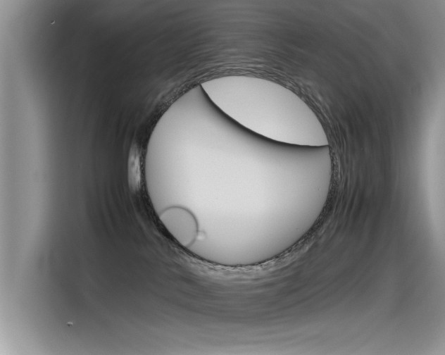 X0000115780042200911131015
