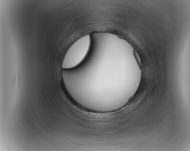 X0000115780044200911131015
