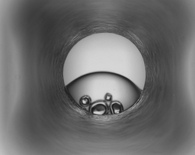 X0000115780045200911131015