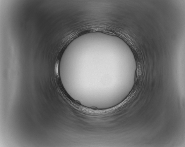 X0000115780047200911131015