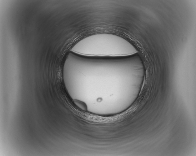 X0000115780048200911131015