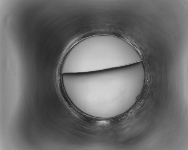X0000115780053200911131014