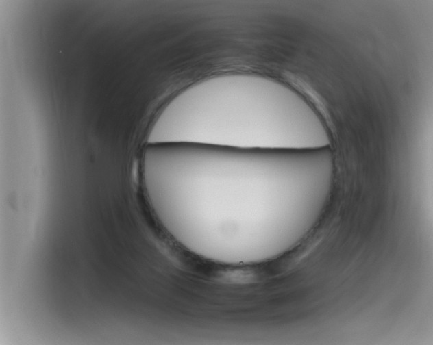 X0000115780067200911131014