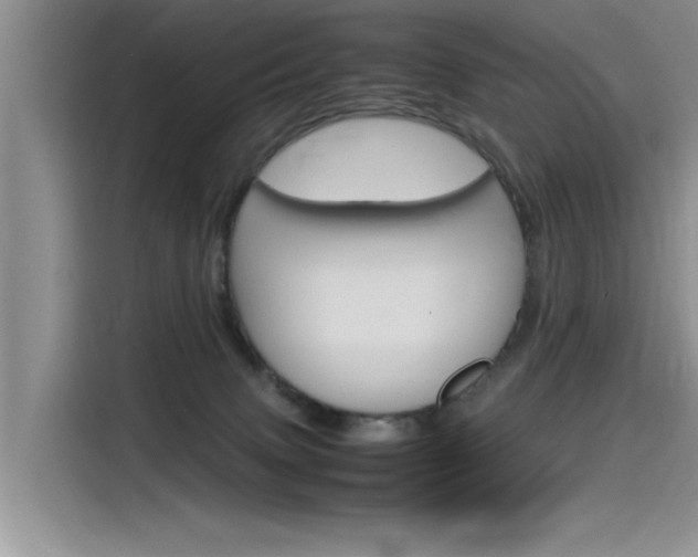 X0000115780083200911131015