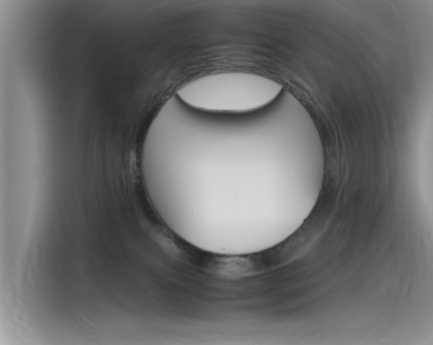 X0000115780087200911131015
