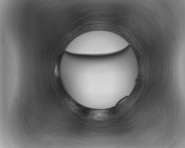 X0000115780089200911131015