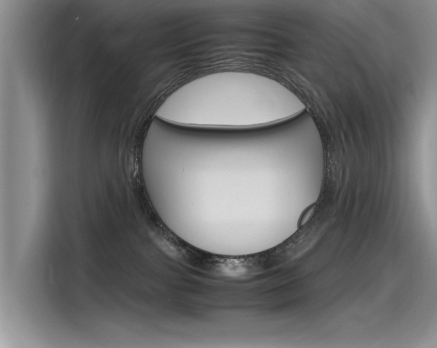 X0000115780091200911131015