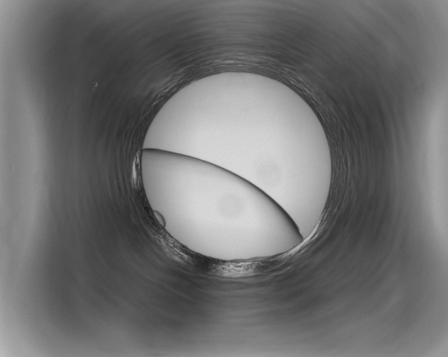 X0000115780094200911131015