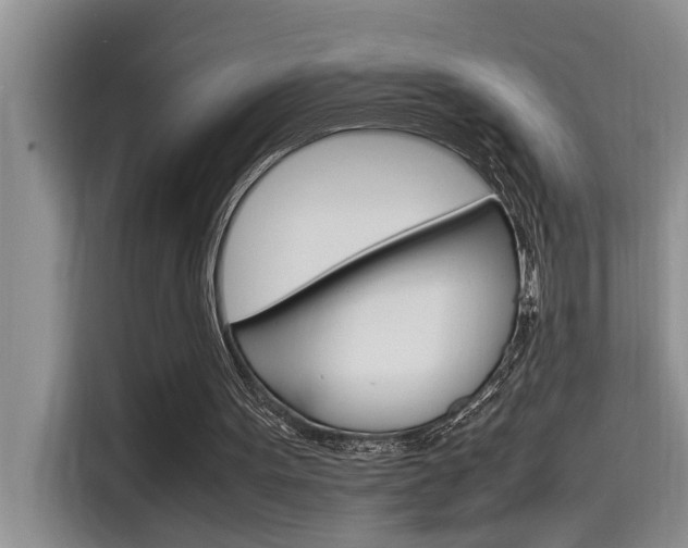 X0000115780099200911131014