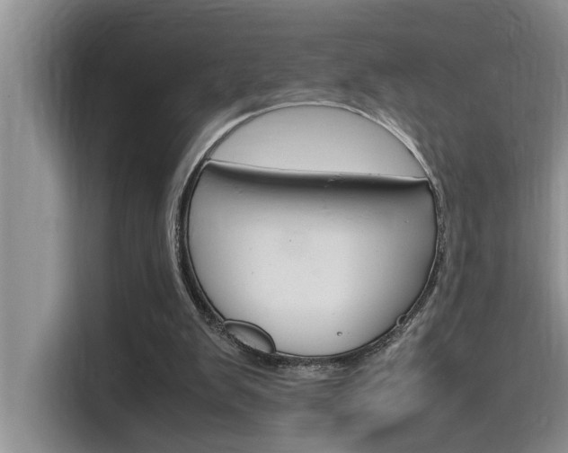 X0000115780103200911131014