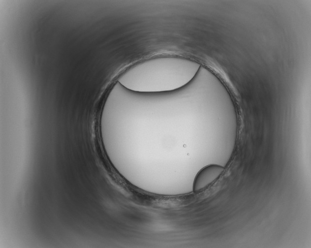 X0000115780106200911131014