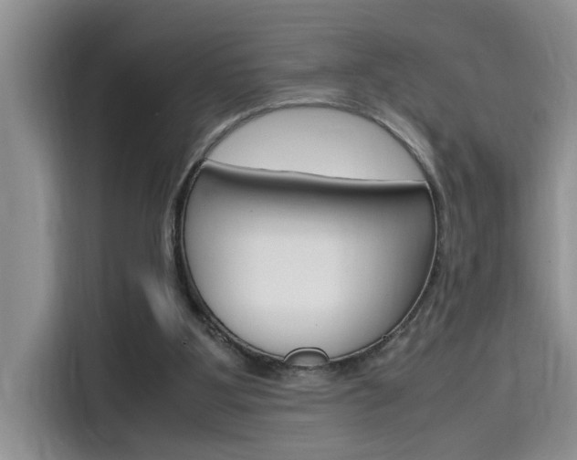 X0000115780107200911131014