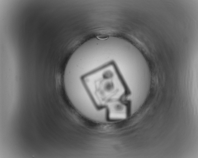 X0000115780117200911131014