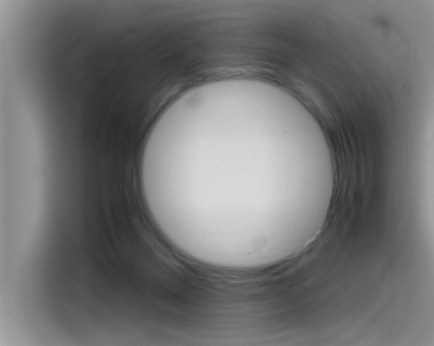 X0000115780120200911131014