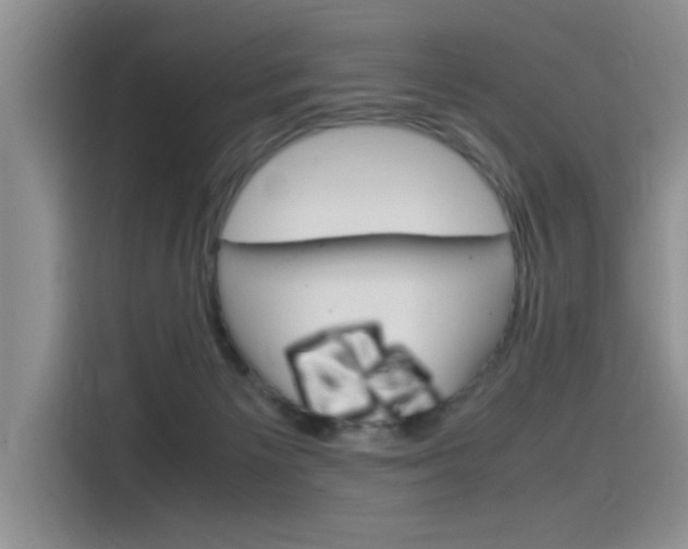 X0000115780125200911131014