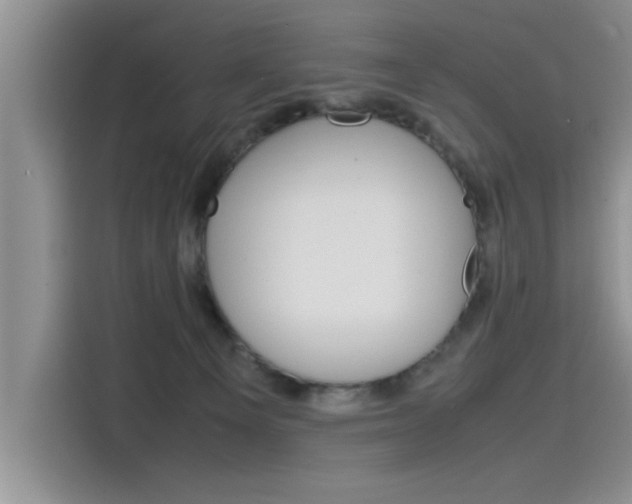 X0000115780129200911131014