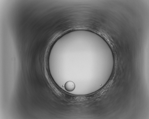 X0000115780145200911131013