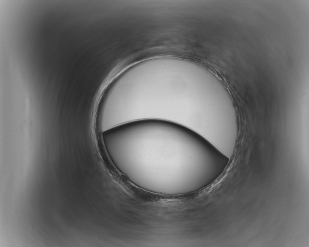 X0000115780150200911131013