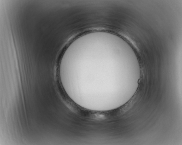 X0000115780159200911131013