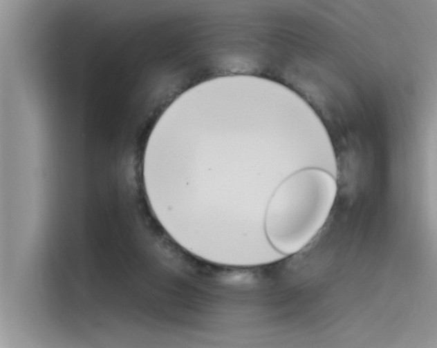 X0000115780162200911131013