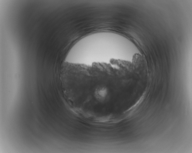 X0000115780171200911131013