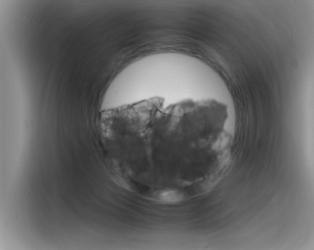 X0000115780173200911131013