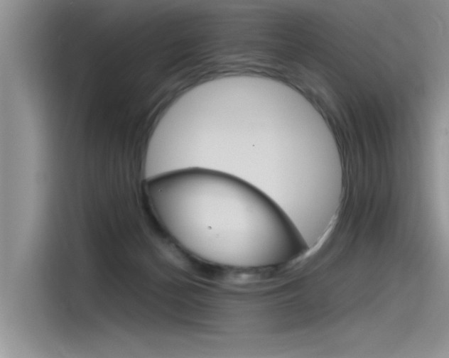 X0000115780174200911131013