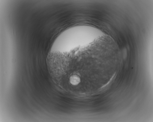 X0000115780175200911131013