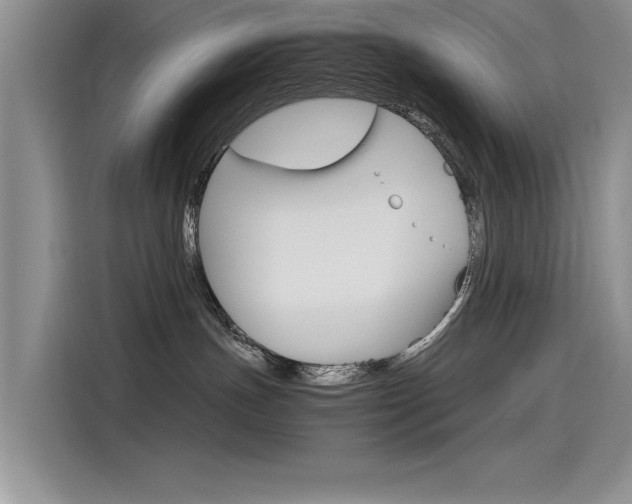 X0000115780191200911131014