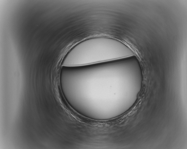 X0000115780193200911131013