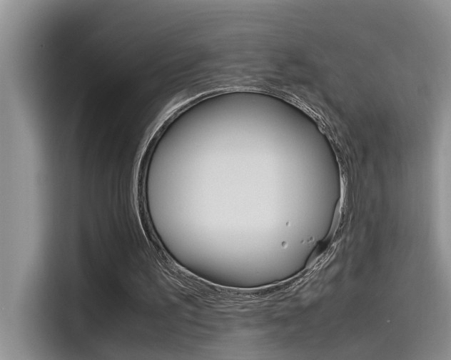 X0000115780195200911131013
