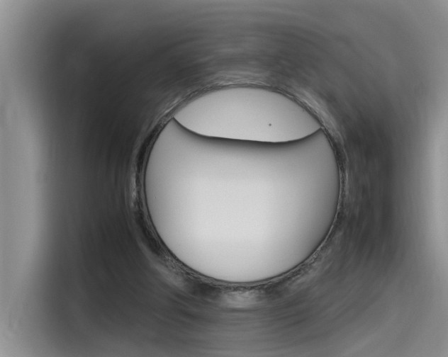 X0000115780202200911131013