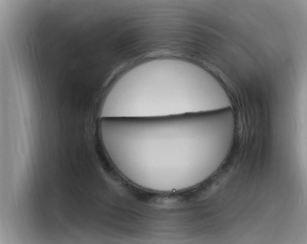 X0000115780208200911131013