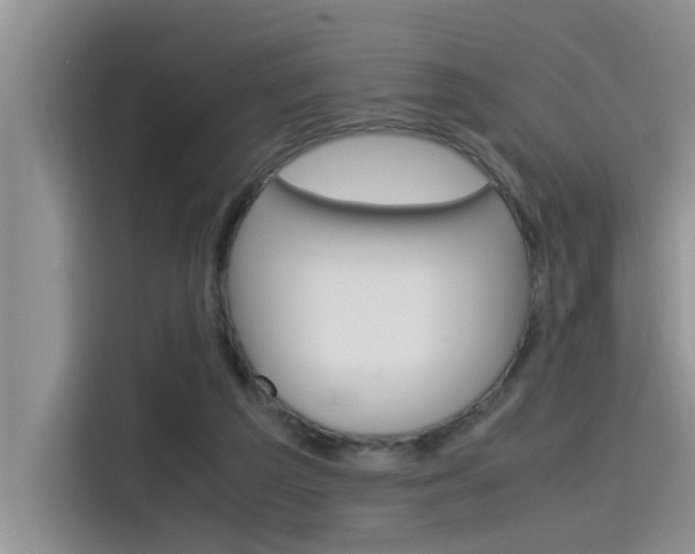X0000115780209200911131013