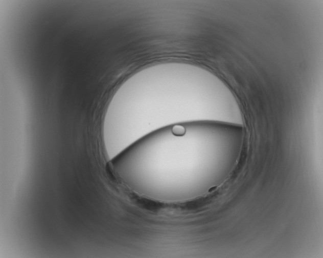 X0000115780211200911131013