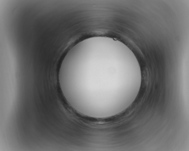 X0000115780212200911131013