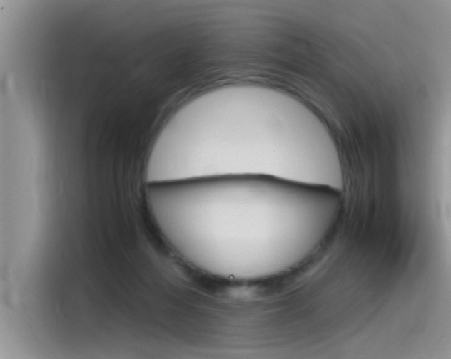 X0000115780216200911131013
