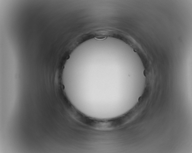 X0000115780217200911131013