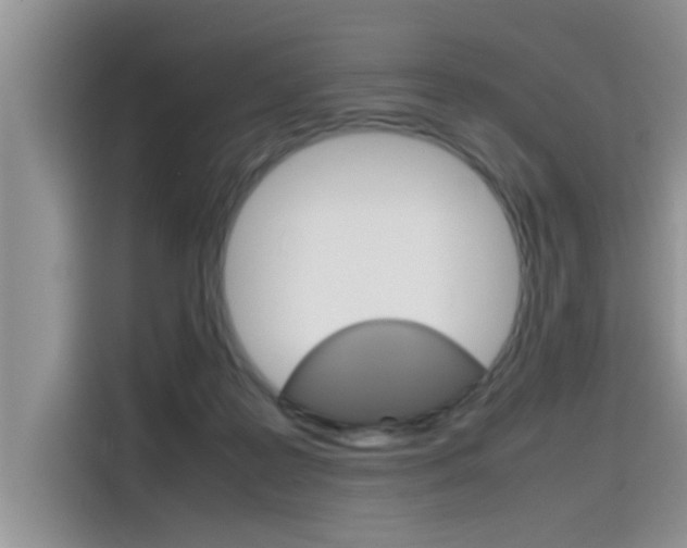 X0000115780219200911131013