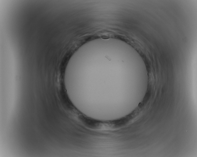 X0000115780223200911131013