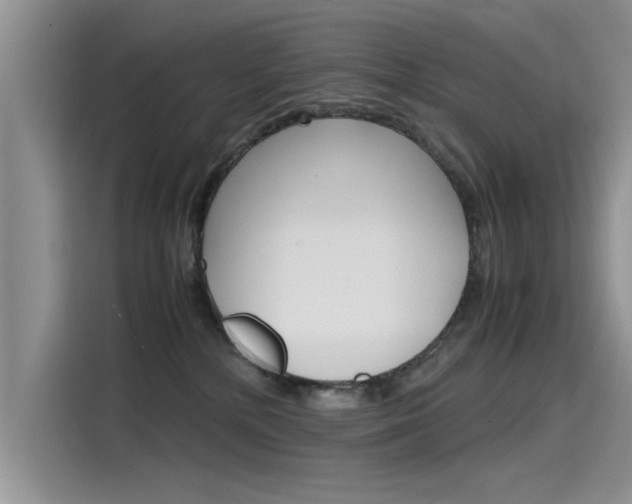 X0000115780232200911131012