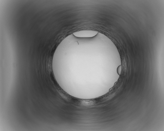X0000115780234200911131012
